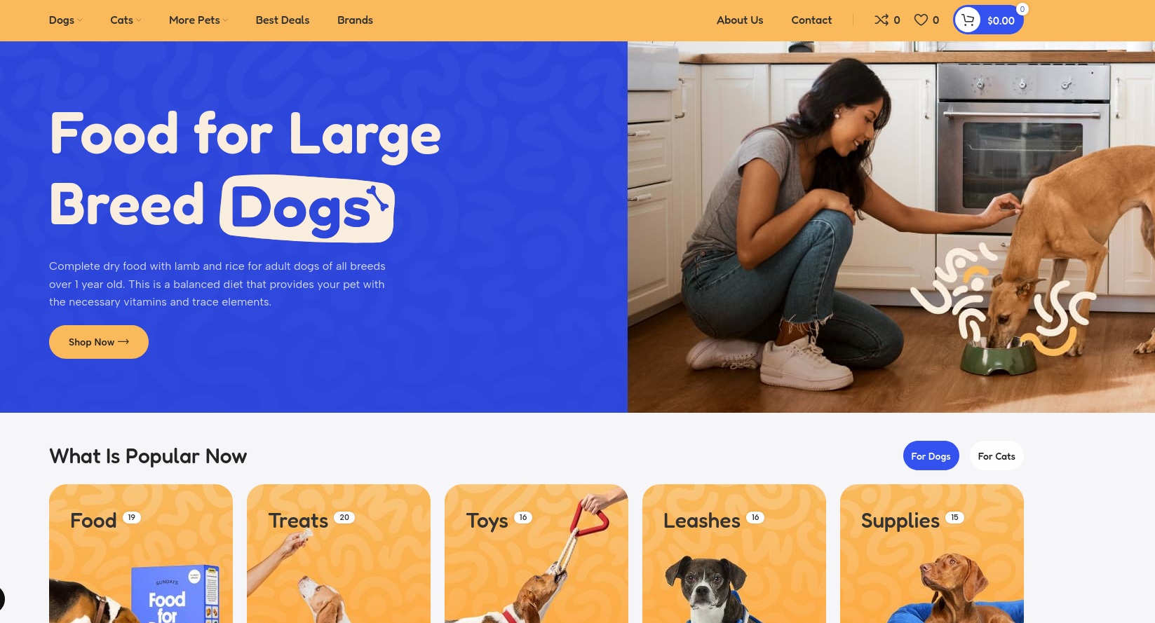 Example of a website Ongadi Studios designed and built